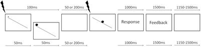 Proactive Inhibition Activation Depends on Motor Preparation: A Single Pulse TMS Study